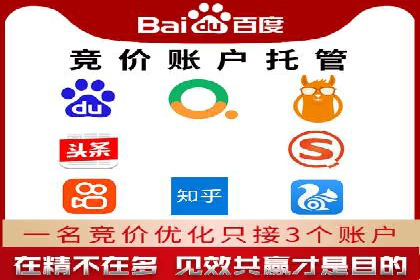 成功SEM投放案例分享